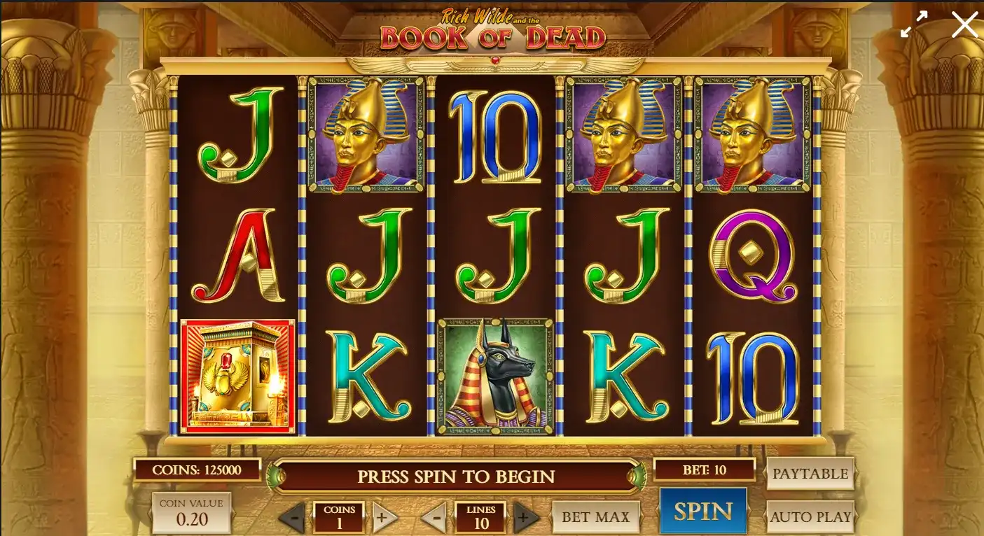 Book of dead slot